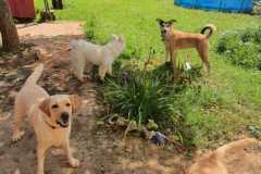 image-44