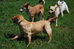 image-46