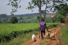 image-49