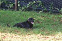 image-74
