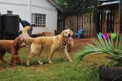 image-83